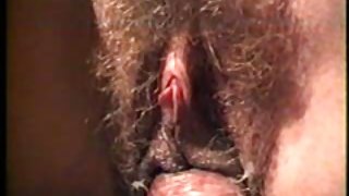 自制关闭了猫