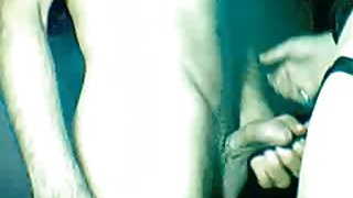 土耳其travesti