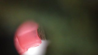 Spycam鱼11