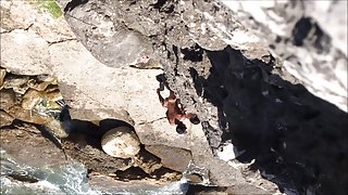 Tugas apanhados2