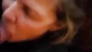 成熟的摩洛伊斯兰解放阵线燕子暨