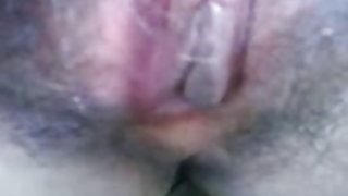 马来telanjang布拉特吉dlm belukar